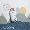 Baby milestone pakket Mountains Lulujo